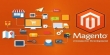 Magento Development Company